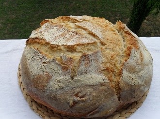 pane